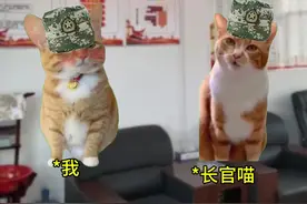 一生节俭只为一次奢侈 #猫meme小剧场 #真实故事 #马旭夫妇 #感动中国 #正能量视频封面