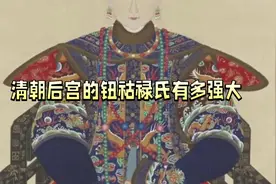 这样强大的钮祜禄氏大家族你想得到吗#钮祜禄氏 #清朝#后宫视频封面