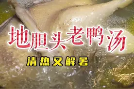 山珍海味也不换的地胆头煲老鸭汤，清甜解暑，有汤喝又有肉吃，煲过汤的老鸭白切都很美味#广东靓汤 #广东美食 #地胆头 #地胆头煲老鸭汤 #煲汤日记视频封面