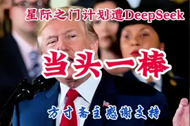 DeepSeek横空出世，星际之门计划遭当头一棒#deepseek视频封面