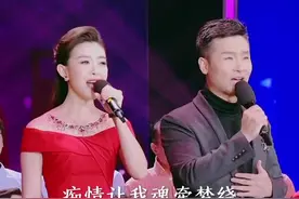 刘和刚 战杨 #爱的城堡 娱乐配音演绎情歌对唱 歌声温柔甜美，令人陶醉#经典老歌 #抖音热歌 #音乐 #音乐分享视频封面
