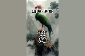 饮鸩止渴的鸩原来是它！AI还原《山海经》神兽—— 鸩(zhèn)，《山海经》中的奇鸟，浑身是毒，关于他的外形，没有太多描述，东晋学者郭璞曾注释说，鸩大如雕，紫绿色，长颈赤喙，爱吃蝮蛇等毒物。鸩对其他毒素具有很强的抗性。饮鸩止渴的鸩说的就是它，相传，用它的羽毛泡制的毒酒剧毒无比，喝了便无药可救，久而久之鸩酒就成了毒酒的统称。 《山海经·中山经》原文：又东北百二十里，曰女几之山，其上多玉，其下多黄金，其兽多豹、虎，多闾、麋、麖、麂，其鸟多白鷮，多翟，多鸩。#神奇动物在抖音 #国学文化 #山海经 #科普知识 #ai绘画视频封面