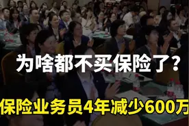 不好骗了？保险业务员4年减少600万，骚扰电话也少了视频封面