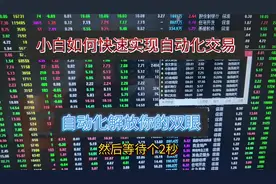 小白也可以轻松实现自动化交易#量化交易 #量化软件#股票视频封面