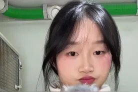 龙猫到底是不是老鼠！？#龙猫  #龙猫是什么动物 #龙猫日常 #萌宠出道计划 #神奇动物在抖音视频封面