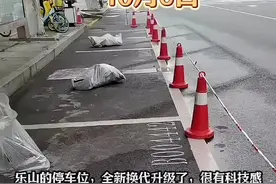 是不是停在现在这些位置，以前欠费的就重新开始算啊？#日常vlog #城市建设 #车位 #规范停车 #乐山本地新闻视频封面