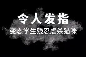 令人发指，高校学生残忍虐杀猫咪#为猫咪发声 #严惩虐猫团伙