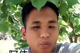 白毛杨树到底是谁引进的#社会百态 #你怎么看#满天飘的白毛毛