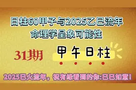 日柱六十甲子与2025乙巳流年运势可能性系列第31期:甲午日柱。