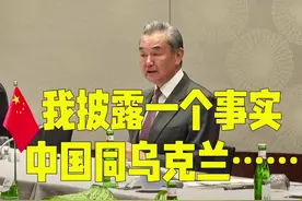 王毅：可能有些国家不知道，中国同乌克兰是战略伙伴关系视频封面