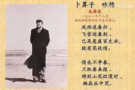 《卜算子.咏梅》毛泽东视频封面