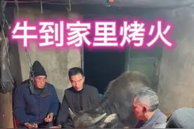牛能不能进屋里 有些朋友说牛不能进屋，我们没那个风俗，我家奶糖牛牛是让它自由活动，随时都可以进屋，天天到家里烤火#牛能不能进屋 ##记录真实生活 #动物 #人间烟火视频封面