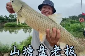 阿呈用阿波浮钓草鱼，老板要被盘哭了 #草鱼的家常做法 #原来钓鱼才是抖音运动顶流视频封面