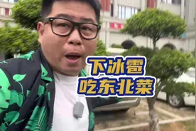 下冰雹要注意安全 不要在外面乱跑 赶紧把东北菜安排起来视频封面