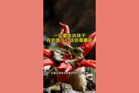 一定要告诉孩子，在外面小心这些毒蘑菇#家长必读 #儿童安全 #生活小常识 #亲子教育 #科普知识