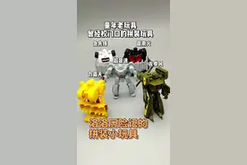 童年玩具分享—洛洛历险记拼装小玩具 #我的玩具分享 #洛洛历险记 #童年回忆 #拼装玩具 #拼装模型视频封面