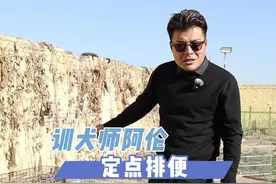 详细版定点大小便，从此告别乱拉乱尿#训犬 #狗狗乱拉乱尿怎么训 #怎么训练狗狗在家上厕所 #狗狗训练技巧 #狗狗视频封面
