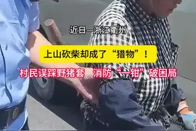 上山砍柴却成了“猎物”？村民误踩野猪套，消防“一钳”破困局！ #浙里是浙江消防 #消防救援