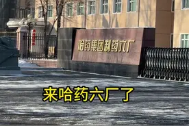 哈药六厂怎么跟想象的不一样？#次蓝莓 #哈尔滨 #哈药六厂视频封面