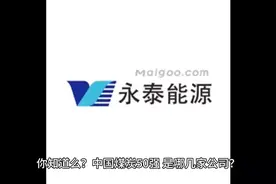 417期：2023年煤炭行业第十三名—永泰能源#煤炭销售 #煤炭 #煤矿视频封面