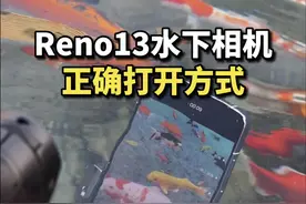 今天试了试OPPO Reno13的水下相机，强烈建议所有防水的手机都加入这个功能，太好用了！😏#opporeno13视频封面