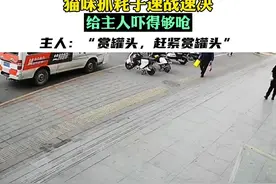 猫咪抓耗子速战速决，给主人吓得够呛，主人：“赏罐头，赶紧赏罐头”。（来源：路遇手机店）#猫咪的迷惑行为 #萌猫趣事 #猫抓老鼠视频封面