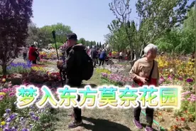 梦入东方莫奈花园，北京热门打卡地视频封面