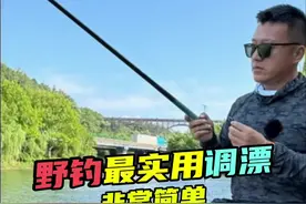 野钓最实用的调漂方法 灵顿自由调节 #原来钓鱼才是抖音运动顶流 #2024dou来钓鱼 #dou是钓鱼人 #钓鱼技巧 #钓鱼日记视频封面