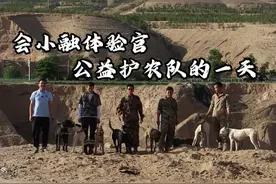 会小融带你体验“汪汪队”公益护农全过程@西北刺客公益护农队#会小融体验官#护农狩猎队#猎犬#@西北刺客公益护农队