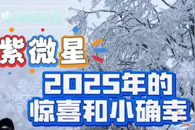 紫微星2025年的惊喜和小确幸#天选预言家视频封面