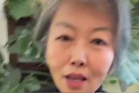 龟背竹 蔫蔫的 不精神 到底它怎么了 分这五种情况 …#经验分享 #花卉绿植 #干货分享 #龟背竹 #小方法解决大问题视频封面