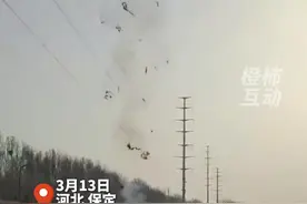 男子河边钓鱼抛竿触高压线瞬间倒地，全身冒烟！ 鱼竿线化作棉絮状#危险行为请勿模仿视频封面