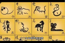 十二生肖相克相冲表视频封面