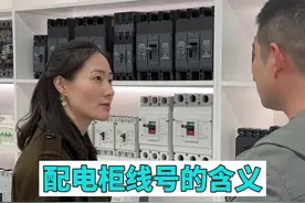 配电柜线号的含义收藏起来吧#高低压成套设备 #配电箱 #配电柜 #断路器 #变频器视频封面