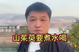 山茱萸要煮水喝，而且要饭后喝因为酸 千岛湖山茱萸的道地产区，也是覆盆子的国家地理标志产区，可以一起搭配喝#覆盆子 #千岛湖 #山茱萸 #倪海厦视频封面