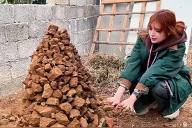 广西红薯窑 俄罗斯媳妇第一次窑红薯、窑鸡！体验挖红薯、抓鸡，童年的快乐让她体会到了！美味的食物让她赞不绝口！#外国人在中国 #农村生活 #内容启发搜索 #2024抖音生活记忆 #俄罗斯媳妇黛茜视频封面