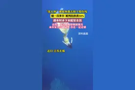美人鱼被鲨鱼袭击致残被判自担责30%（大参考）视频封面