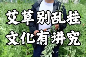 端午节挂艾草可不能乱挂，有很大讲究#端午节 #艾草 #文化 #讲究视频封面