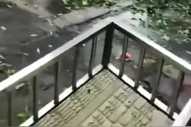 台风的杰样视频封面