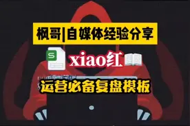 某某红薯上做运营必备复盘模板，团队经验总结努力继续视频封面