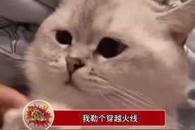 这赛博国潮也是让穿越火线玩明白了 #西安国潮打卡新方式#国潮嘉年华点亮大雁塔视频封面
