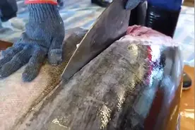 #舌尖上的美食 #好食材好味道 #食材新鲜才是硬道理视频封面