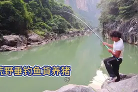 全网最牛钓鱼佬，扛8米一的手竿打路亚，峡谷狂拔翘嘴满载而归视频封面