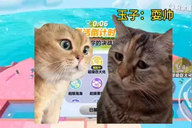 你在干什么？#蛋仔创意玩法 #蛋仔春日限定计划 #蛋仔派对视频封面