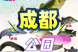 #钓鱼那些事 #2024dou来钓鱼 在怎么创造资源也经不住没底线的祸祸#路亚 #路亚观察视频封面