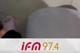 主人下班回家，狗狗第一时间上前迎接，发出的声音像个老大太视频封面