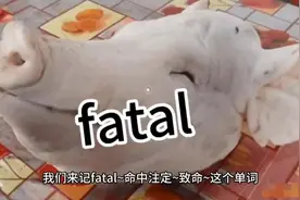 我们来记fatal~命中注定~致命~这个单词。fatal，谐音飞头视频封面