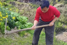 防火必严，玩火必究。 #森林防火视频封面