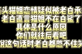 石头猫姐恋情疑似被老白承认视频封面