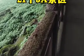 中国含金量超高的21个5A景区，数数你去过几个？ #5a景区 #旅游景区推荐 #国内旅游值得去的地方 #全国重点景区盘点 #旅游景区视频封面